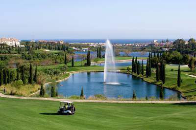 Los Flamingos Golf